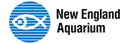 New England Aquarium